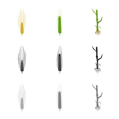 Vector design of agriculture and farming sign. Set of agriculture and plant  stock symbol for web.