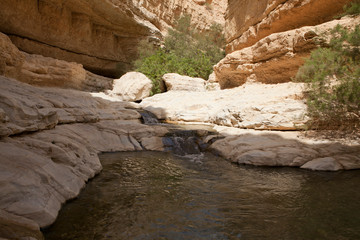 Amazing Landscapes of Israel, Views of the Holy Land
