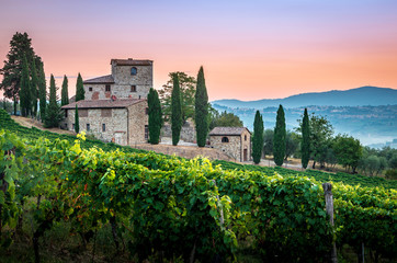 Panorama of Tuscan vineyard covered in fog at the dawn near Castellina in Chianti, Italy