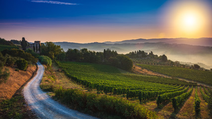 Fototapeta na wymiar Panorama of Tuscan vineyard covered in fog at the dawn near Castellina in Chianti, Italy