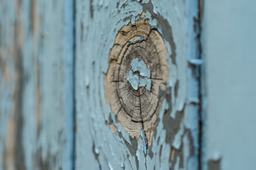 old wood texture background