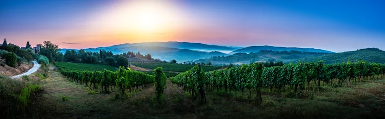 Poster Panorama van Toscaanse wijngaard bedekt met mist bij zonsopgang in de buurt van Castellina in Chianti, Italië © Bogusz