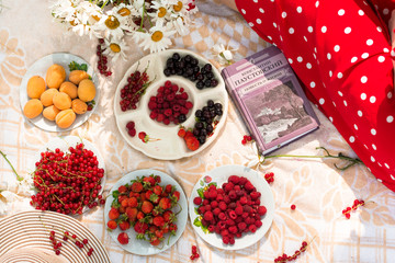 top view: berries on the blanket, a book and a bouquet of daisies
