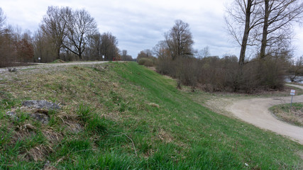 Donau Schmutz Wald sterben Holz