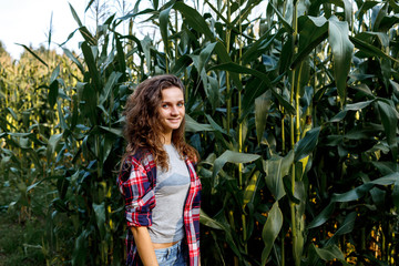 Beautiful brunette girl stands in a corn field