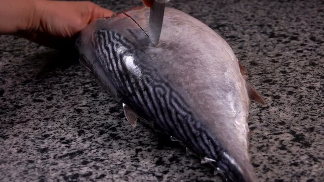 Cook is preparing the first cut of raw tuna on a gray marble table