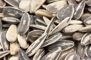 Sunflower seeds