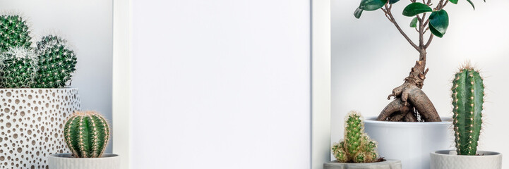 Shelf at home against a white wall. Blank mockup frame with place for text or graphics. Cactus...