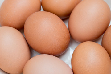 eggs in white  ceramic bowl macro