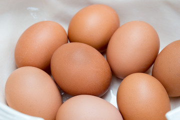 eggs in white  ceramic bowl macro