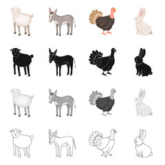 Vector illustration of breeding and kitchen  icon. Set of breeding and organic  stock symbol for web.