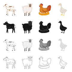 Isolated object of breeding and kitchen  logo. Collection of breeding and organic  vector icon for stock.