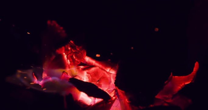 Fire Flame Bonfire smouldering coals on black background