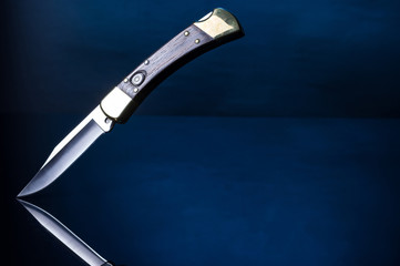Knife with brass bolster. Knife with a handle made of macassar wood.