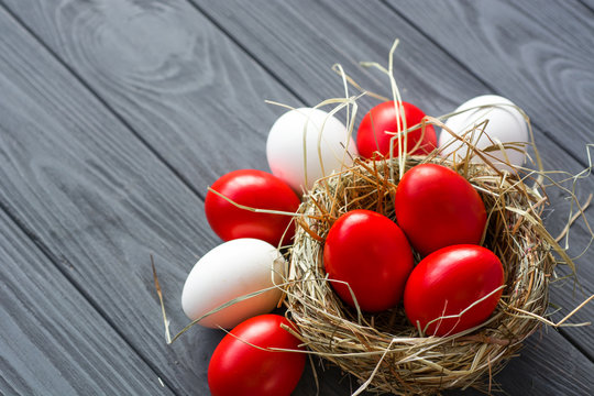 Easter background with dark red Easter eggs and spring flowers. Top view with copy space	 