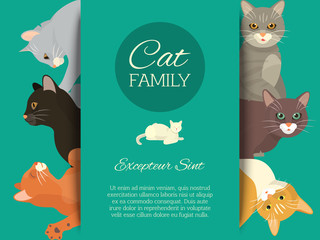 Cats family show banner grooming or veterinary feline flyer vector illustration. Cute kitten pet poster. Funny animal studio. Lovely friendship advertisement pussy cat character.