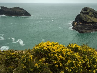 Fotobehang The wild and rugged coast path on the Cornish coast near Boscastle © tony