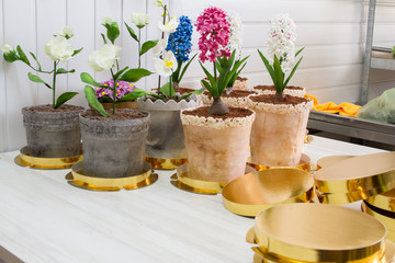 A beautiful chocolate cake with cheese cream, meringues and chocolate decorated with hyacinth, violet and rose from meringue.