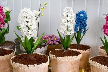 A beautiful chocolate cake with cheese cream, meringues and chocolate decorated with hyacinth, violet and rose from meringue.