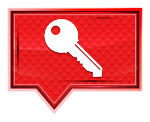 Key icon misty rose pink banner button