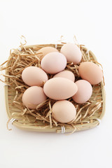 新鮮な卵