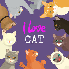 Obraz premium Cats love show banner grooming or veterinary feline flyer vector illustration. Cute kitten pet poster. Funny animal studio. Lovely friendship advertisement pussy cat character.