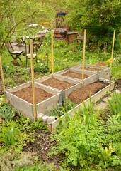 Pallet collars in garden