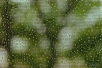 abstract green background