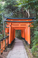 Naklejka premium Close-Up of Torii Gates on the Inari mountain in the forest. Fushimi Inari Taisha, Kyoto, Japan