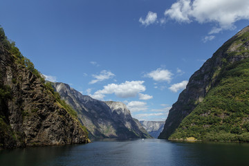 Naklejka na ściany i meble View of a peacefull summer fjord