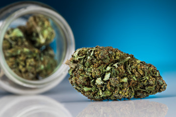 Fototapeta na wymiar Cbd Concept, Medical Marijuana, cannabis and blue background