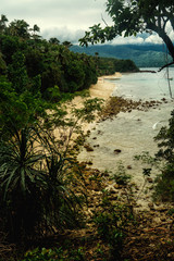 Beautiful sandy beach with pristine, turquoise sea and coconut trees