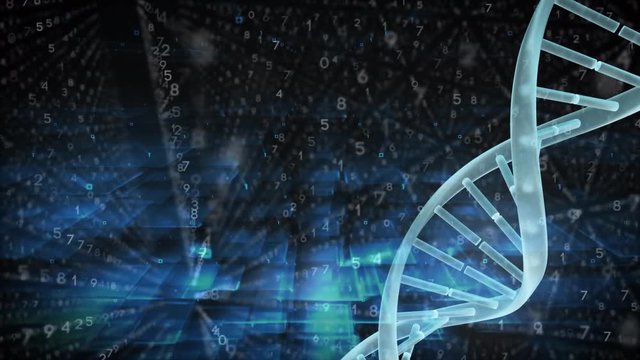 Spinning DNA against binary codes on the background