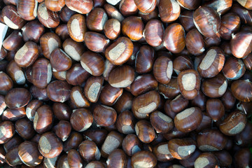 Maronen Esskastanien