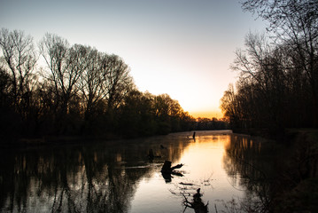  teploye utro vozle lesnoy reki 29/5000 warm morning near the forest river