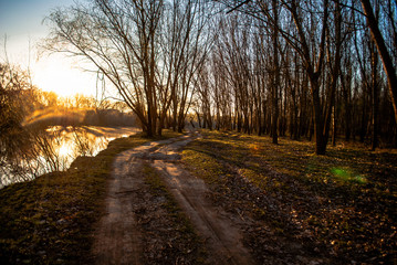  teploye utro vozle lesnoy reki 29/5000 warm morning near the forest river