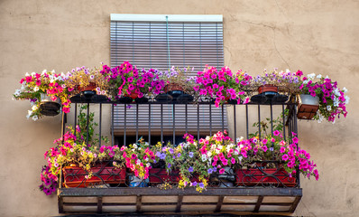 Fototapeta na wymiar Balcon adornado de flores, Riaza