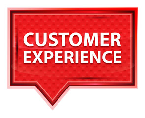 Customer Experience misty rose pink banner button
