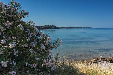 Summer view of town of Nea Poteidaia, Kassandra, Chalkidiki, Central Macedonia, Greece