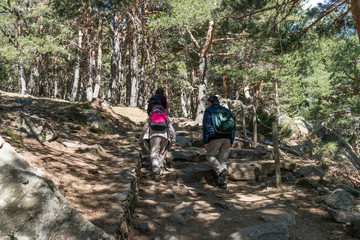 Obraz premium A bunch of friends in their 50's practice mountain hiking at spring time