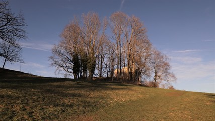 Fototapeta premium ruine