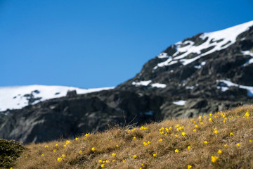 A bunch of friends in their 50's practice mountain hiking at spring time