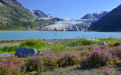 Reid Glacier, Glacier Bay National Park, Alaska