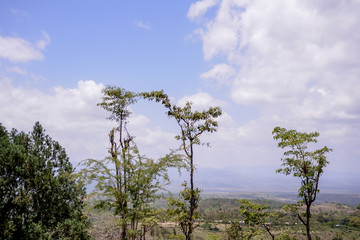 Fototapeta premium Landscape in Danakil