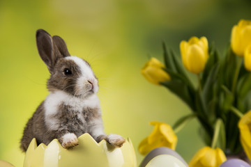 Easter decoration, rabbits,eggs and flowers