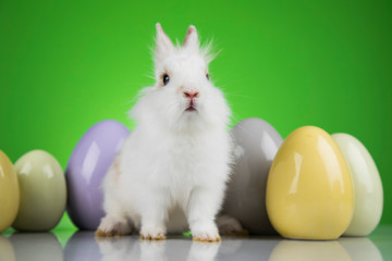Little cute baby rabbit and easter eggs