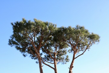 Tuscany moments 