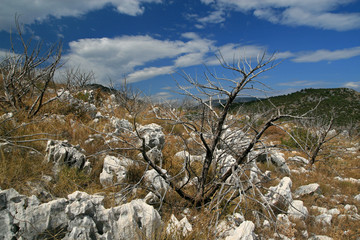 Landscape of wild area near Podgorje, Bosnia and Herzegovina