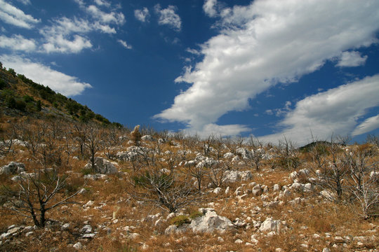 Landscape of wild area near Podgorje, Bosnia and Herzegovina
