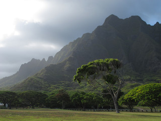 Hawaiian landscape